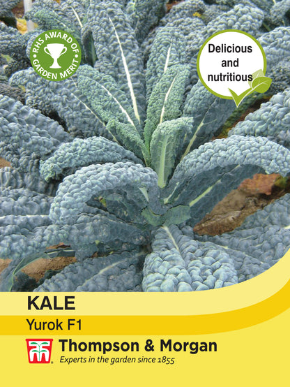 Kale Yurok F1 Hybrid