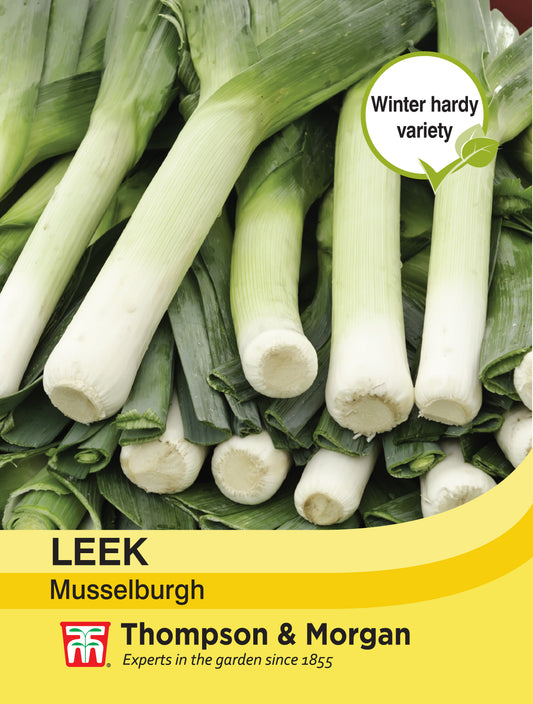 Leek Musselburgh