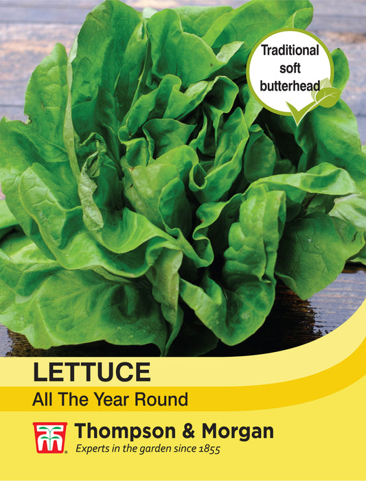 Lettuce All Year Round