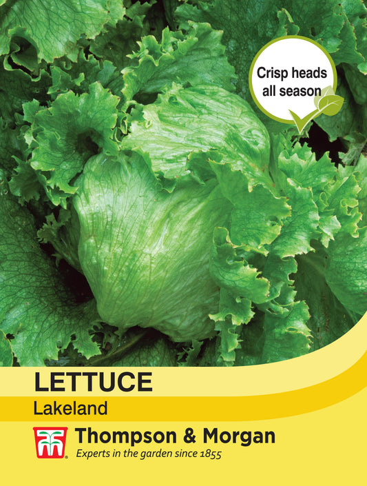 Lettuce Lakeland