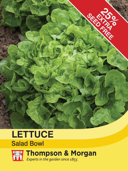 Lettuce Salad Bowl