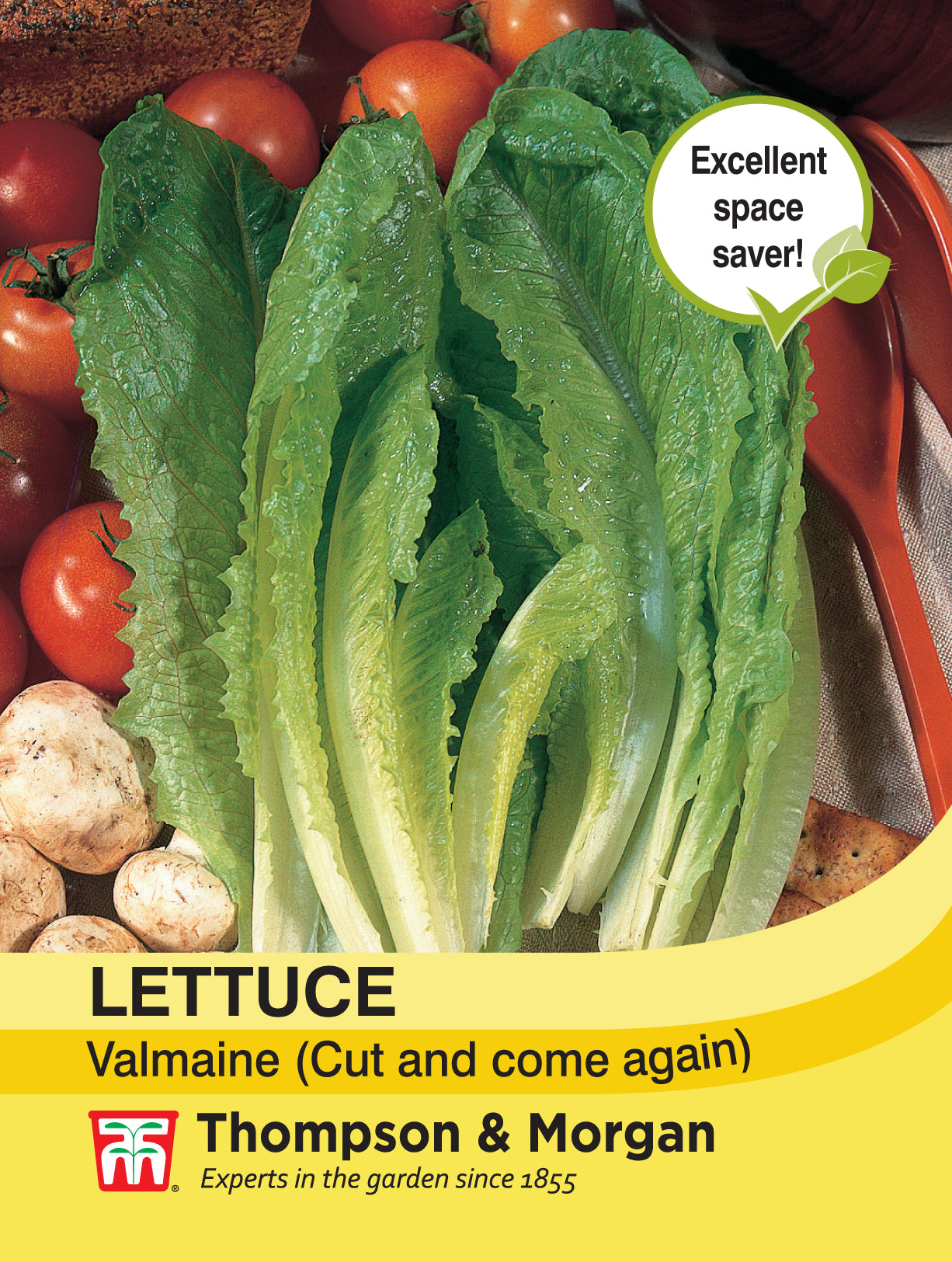 Lettuce Valmaine (Cut and Come Again)