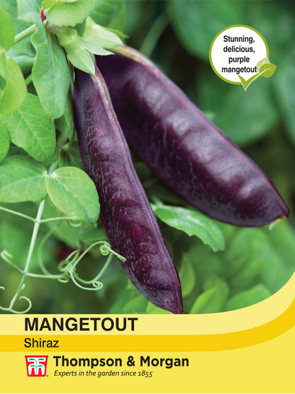 Mangetout Shiraz