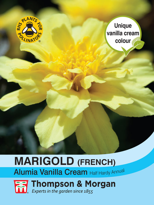 Marigold Alumia Vanilla Cream (French)