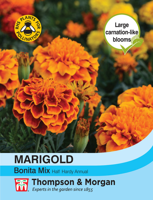 Marigold Bonita Mixed (French)