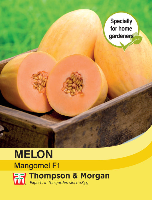 Melon Mangomel F1