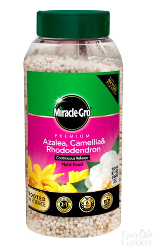 Miracle-Gro Azalea, Camellia & RhododendronContinuous Release Plant Food Jar 900G-Easy Garden Centre