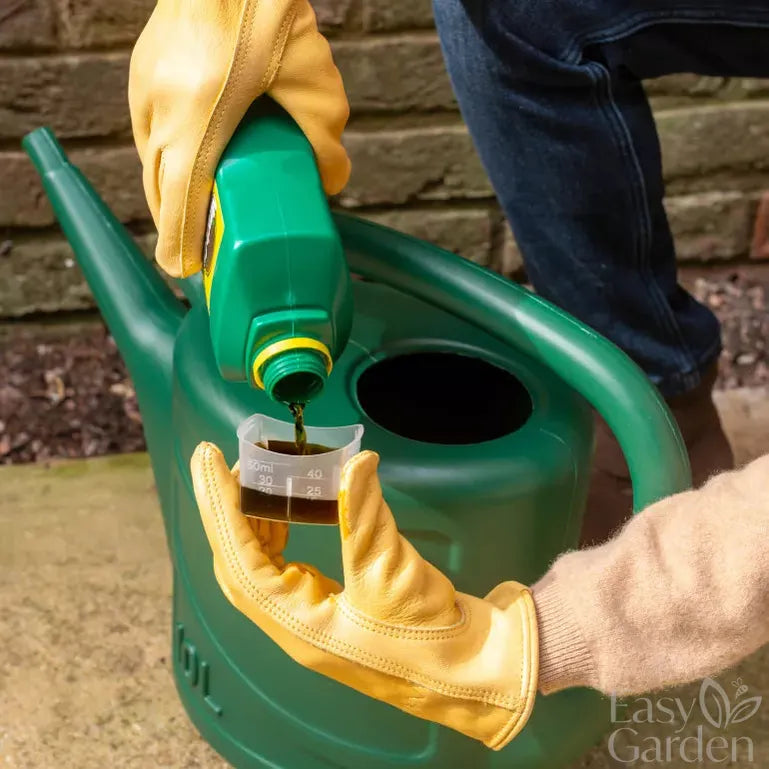 Miracle-Gro Evergreen Mosskill Feed & Moss Liquid Concentrate 1Lt-Easy Garden Centre