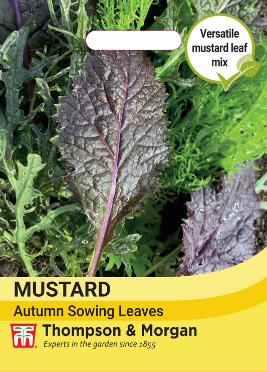 Mustard Autumn sowing leaves