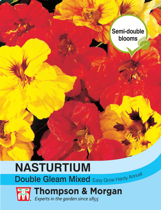 Nasturtium Double Gleam Mixed