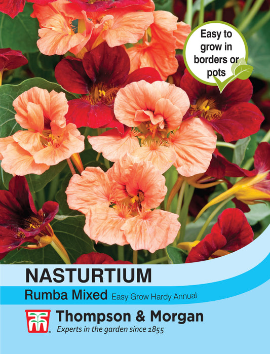 Nasturtium Rumba Mixed