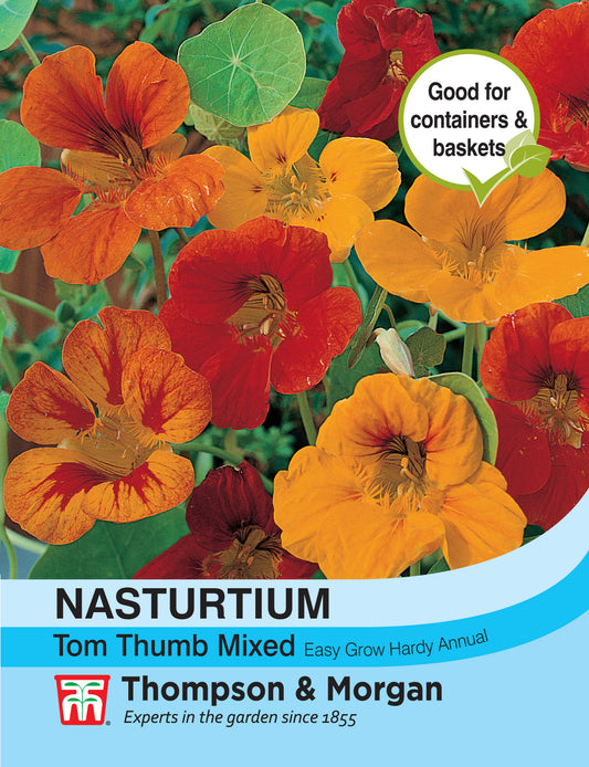 Nasturtium Tom Thumb Mixed