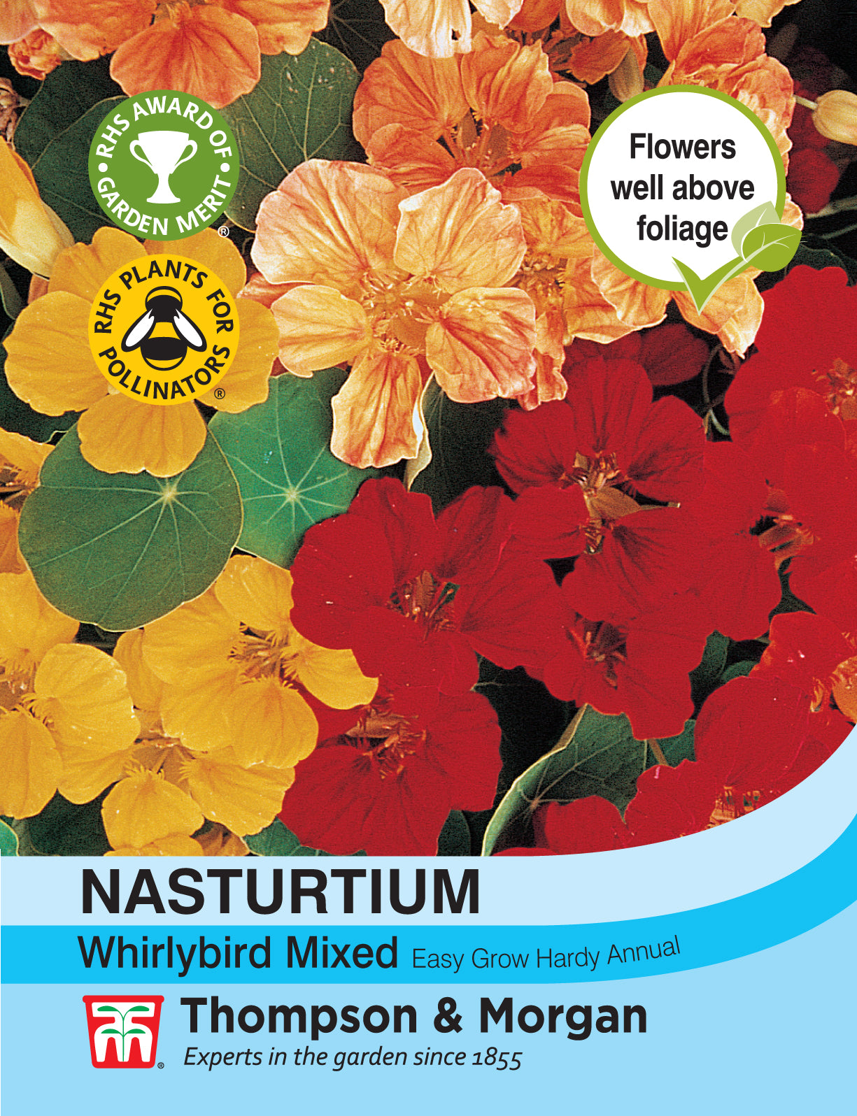 Nasturtium Whirlybird Mixed