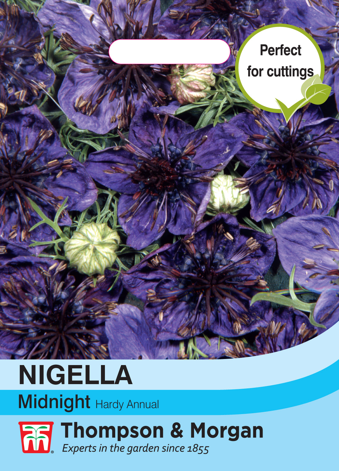 Nigella Midnight