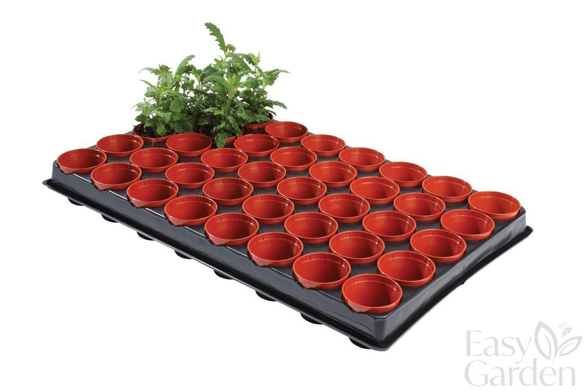 PROF. SEED/CUTTING TRAY (40x6cm pots)-Easy Garden Centre
