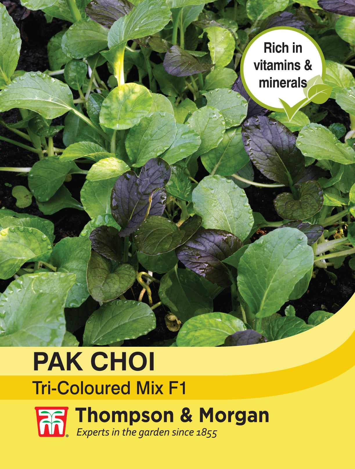 Pak Choi (Chinese Cabbage) Tricoloured Mix F1 Hybrid
