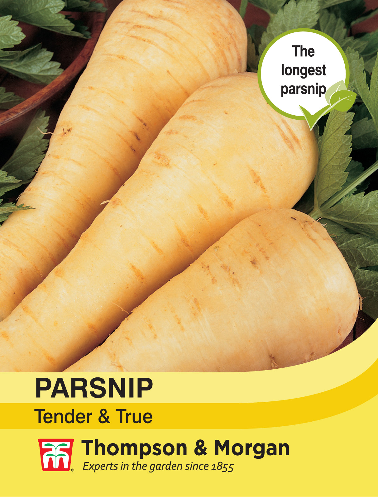 Parsnip Tender & True