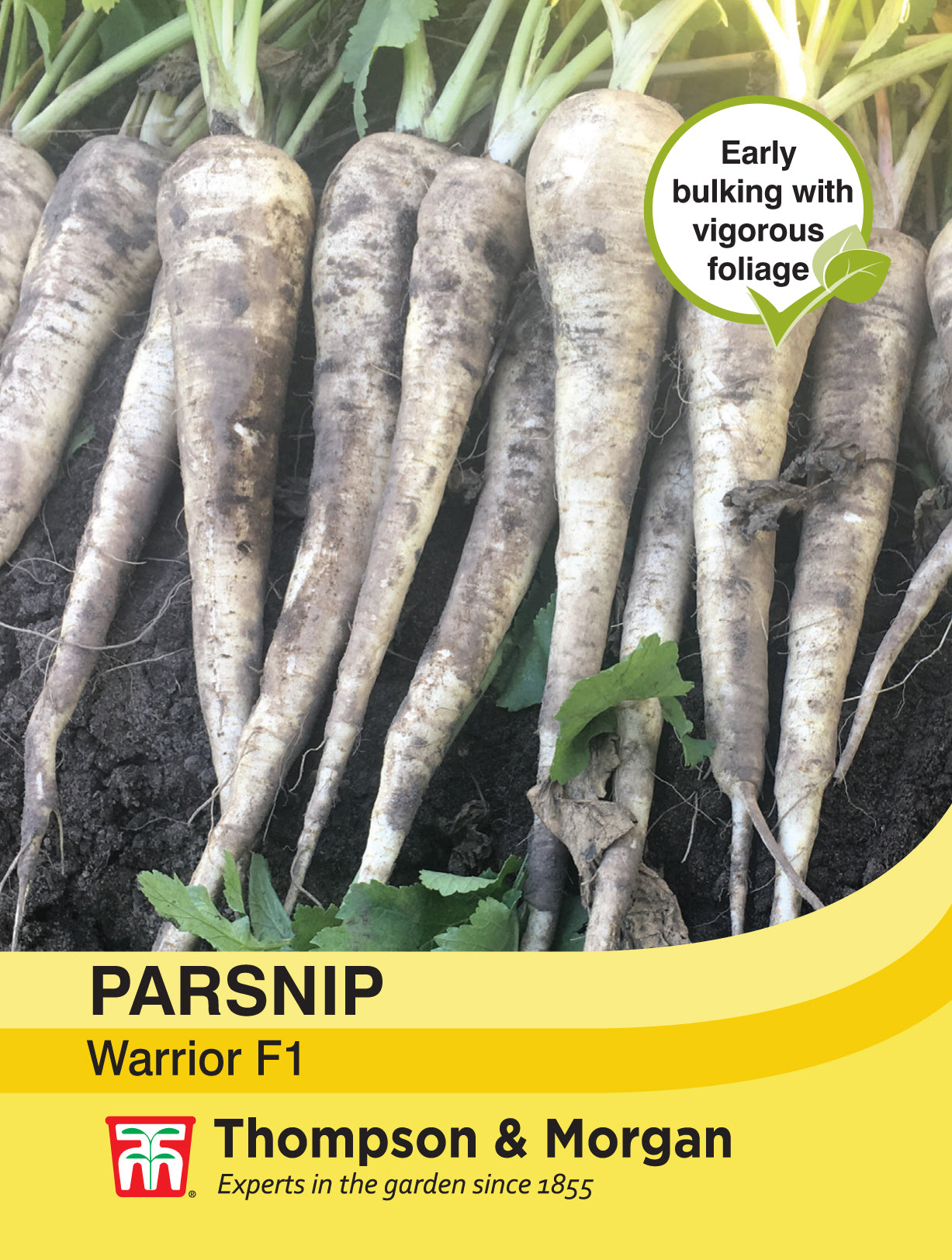 Parsnip Warrior F1 Hybrid