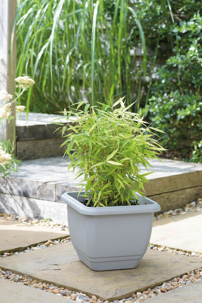 30cm Patio Planter Dove Grey