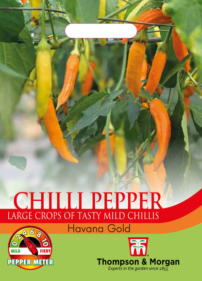 Pepper Chilli Havana Gold