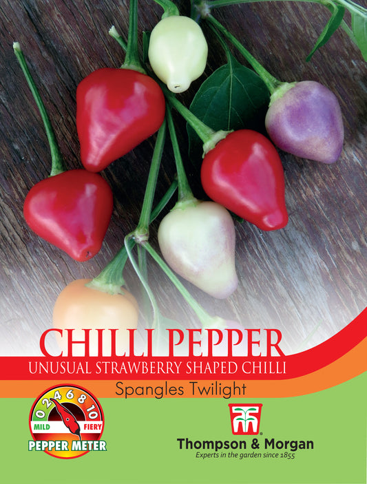 Pepper Chilli Spangles Twilight