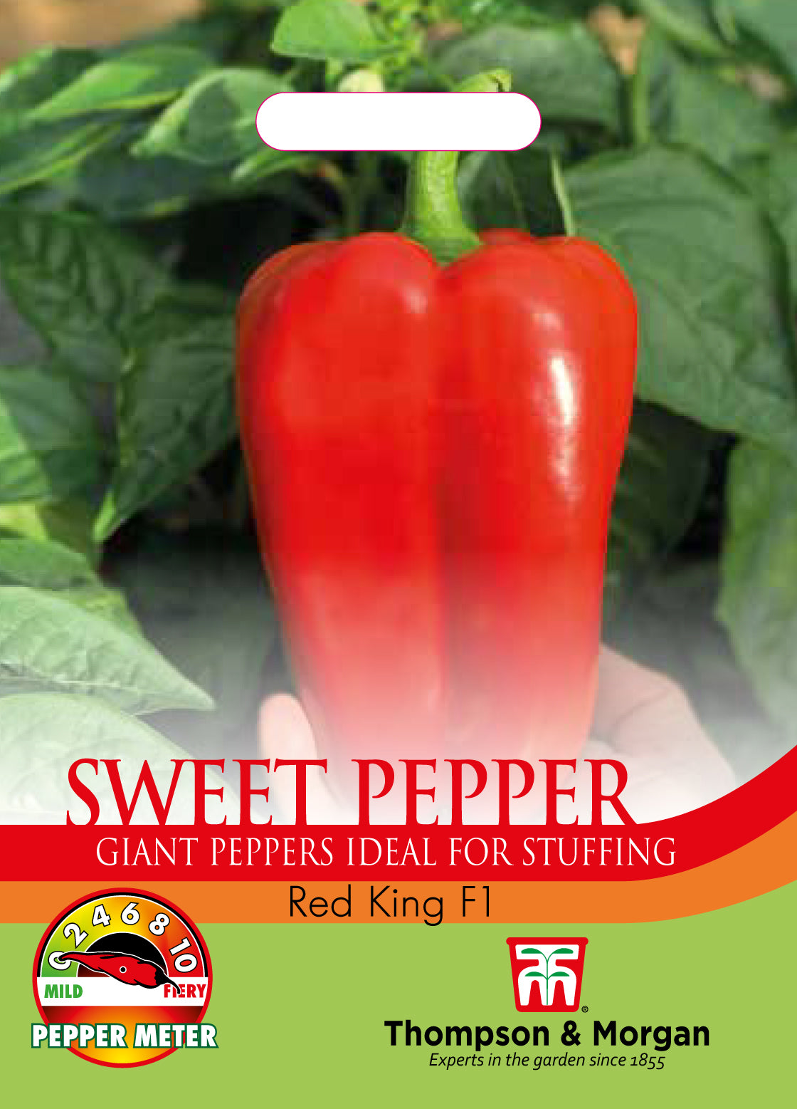 Pepper Red King F1