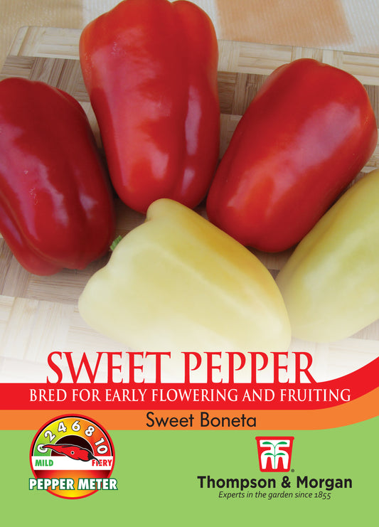 Pepper Sweet Boneta