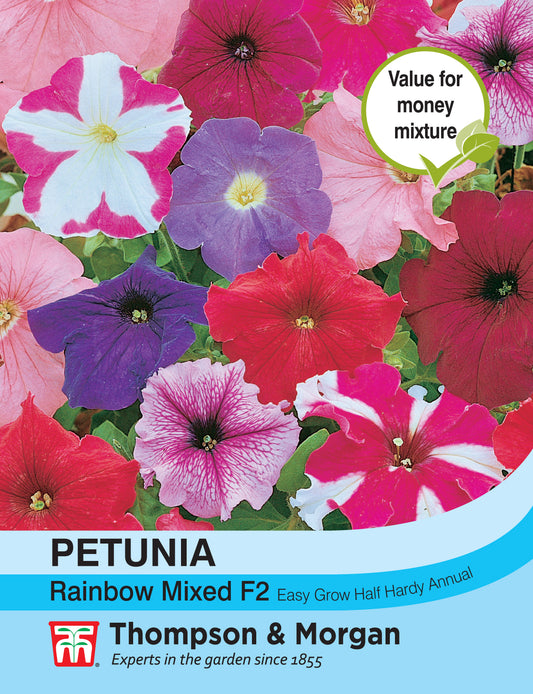 Petunia Rainbow Mixed F2 Hybrid