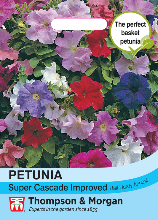 Petunia Super Cascade Improved Mixed F1 Hybrid