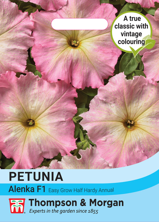 Petunia hybrida Multiflora Alenka F1