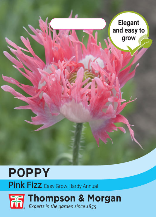 Poppy Pink Fizz