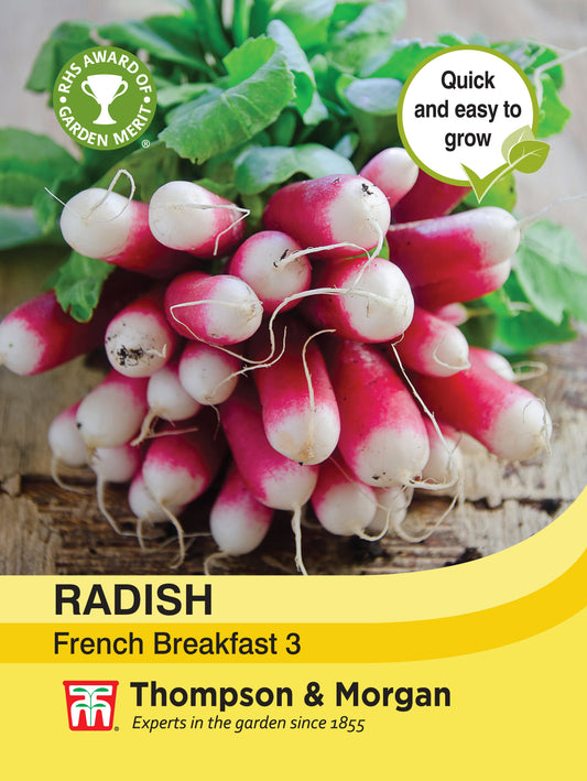 Radish French Breakfast 3