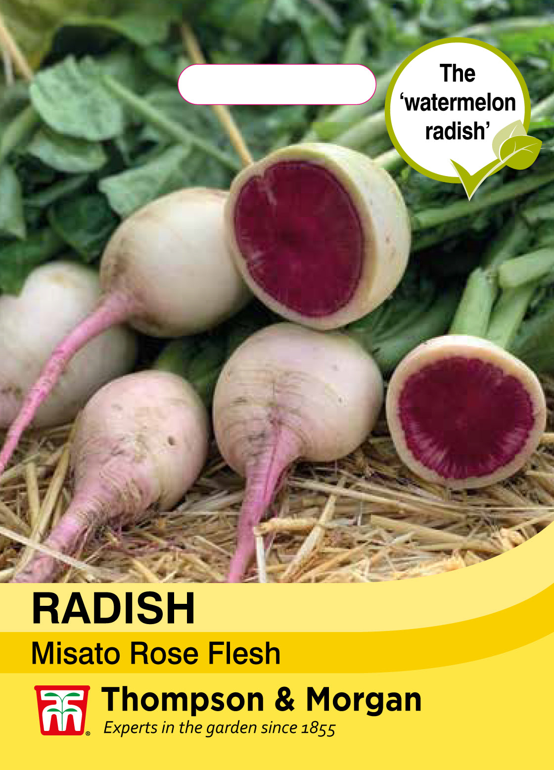 Radish Misato Rose Flesh