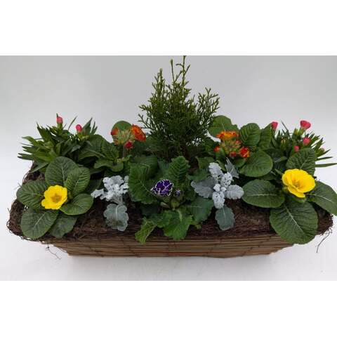 Rattan Trough Large 53cm (A)-Easy Garden Centre