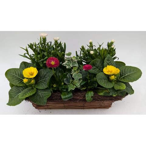 Rattan Trough Medium 40cm (A)-Easy Garden Centre