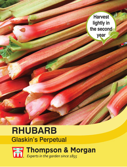 Rhubarb