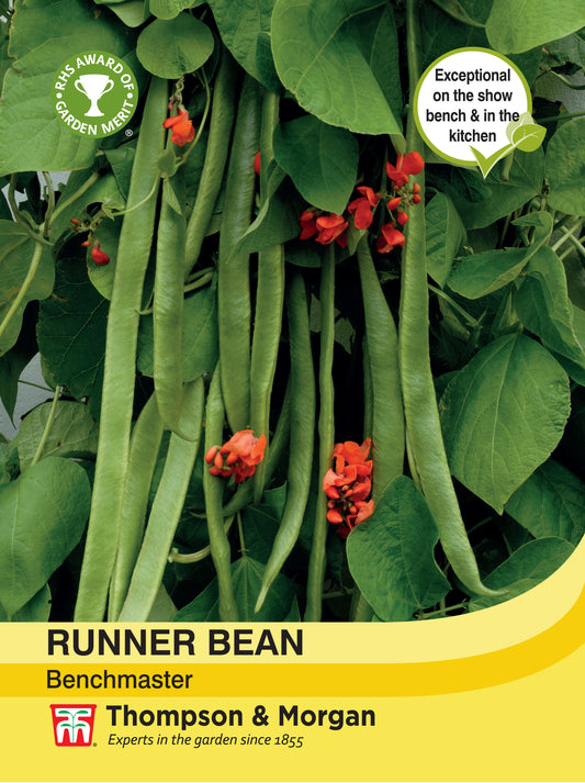 Runner Bean Benchmaster (unavilable)