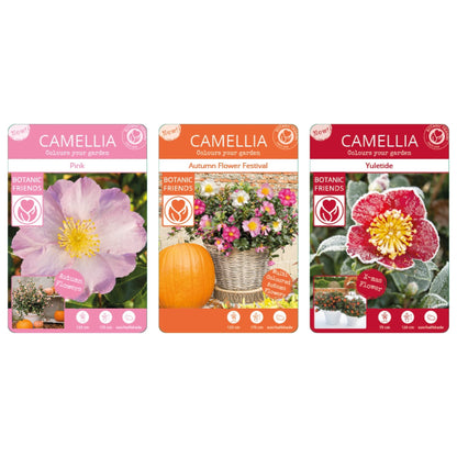 Camellia sas.  MIX  2ltr