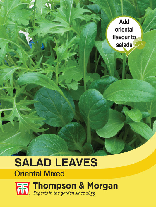 Salad Leaves - Oriental Mixed