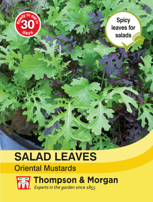 Salad Leaves - Oriental Mustards