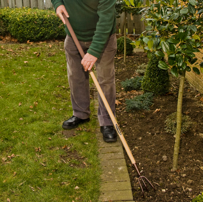 ELEM 3 PRONG CULTIVATOR