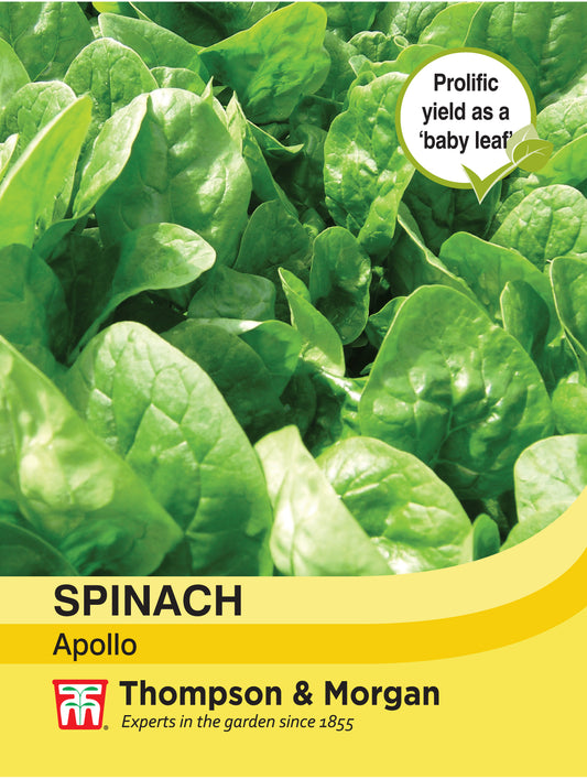 Spinach Apollo