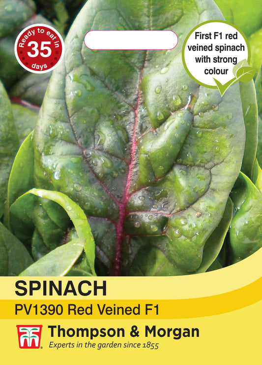 Spinach PV1390 Red Veined