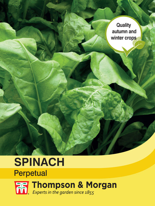 Spinach Perpetual