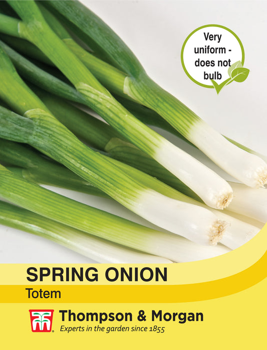 Spring Onion Totem