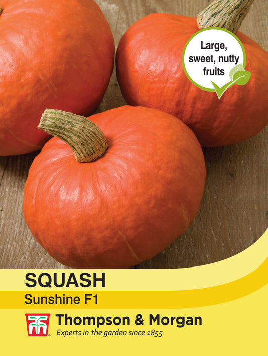 Squash Sunshine F1 Hybrid (Winter)