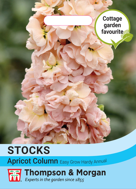 Stock Apricot Column