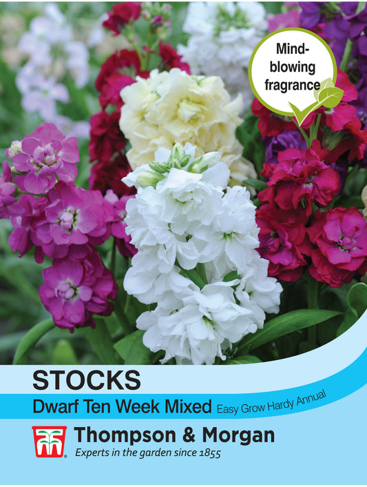 Stocks Dwarf Ten Week Mixed