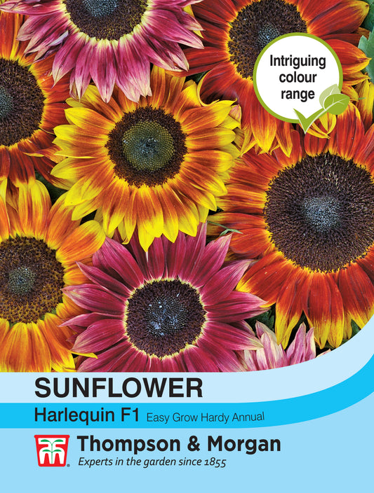 Sunflower Harlequin Mix F1 Hybrid