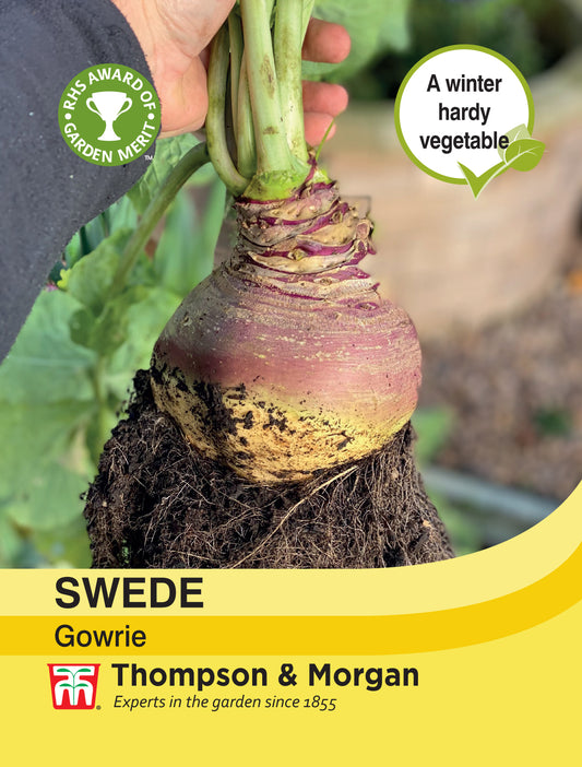 Swede Gowrie